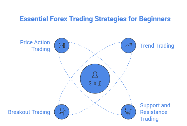 Best Forex Trading Strategies for Beginners